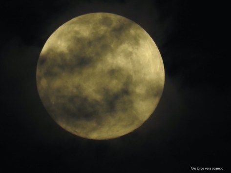 BE73D4D6-2402-439D-AEB3-B760CDB73DAA_1_201_a