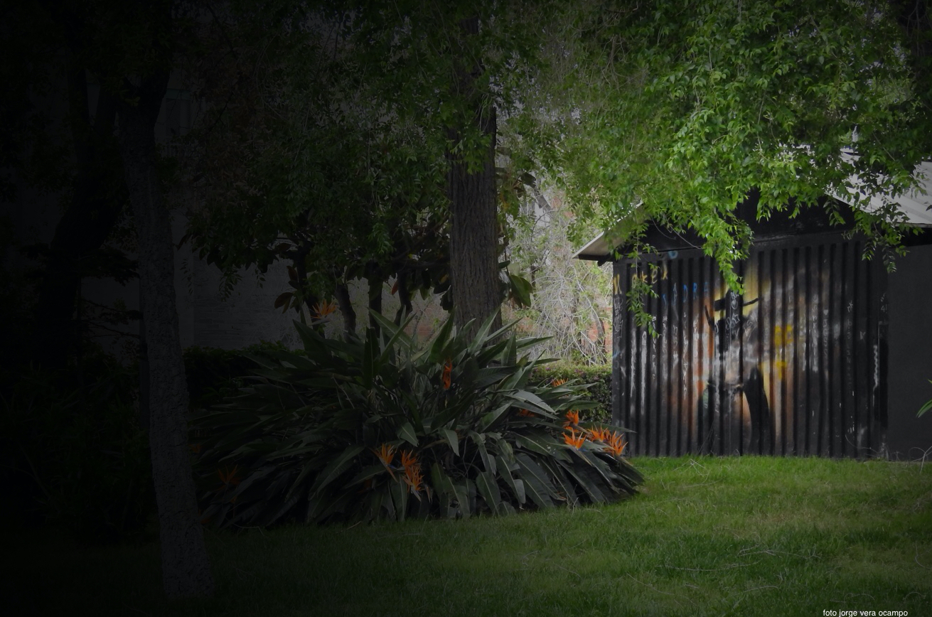 E3A4F476-E6DB-4D08-B227-5F98E24A6630_1_201_a